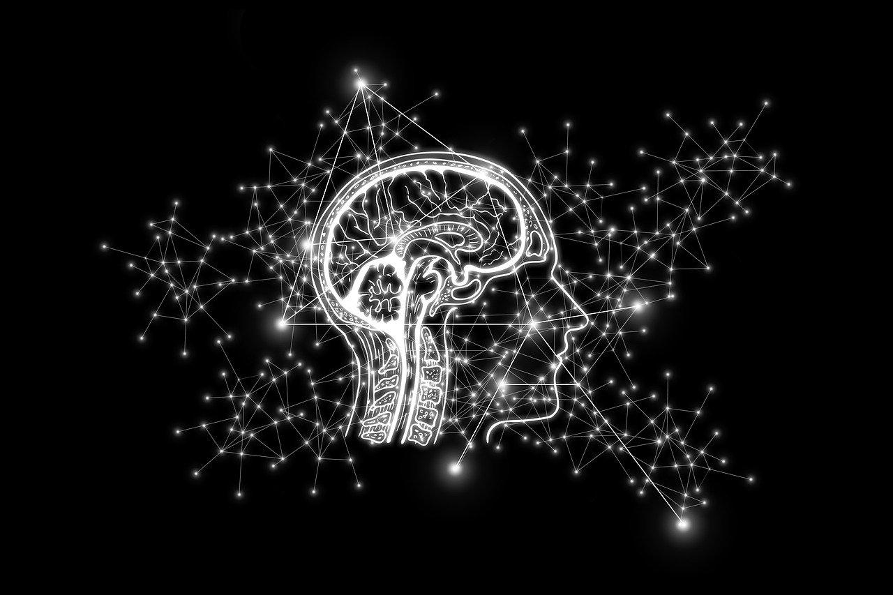 découvrez comment la data intelligence transforme la collecte, l'analyse et l'exploitation des données pour optimiser la prise de décision et améliorer la performance des entreprises.