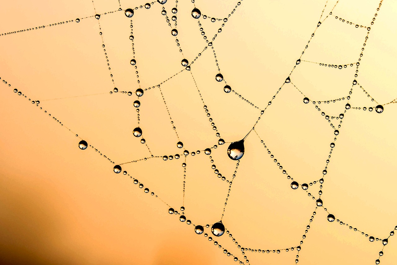 découvrez l'importance des core web vitals pour améliorer la performance de votre site web. apprenez à optimiser l'expérience utilisateur grâce à des indicateurs clés de vitesse, d'interaction et de stabilité visuelle. boostez votre référencement et fidélisez vos visiteurs.