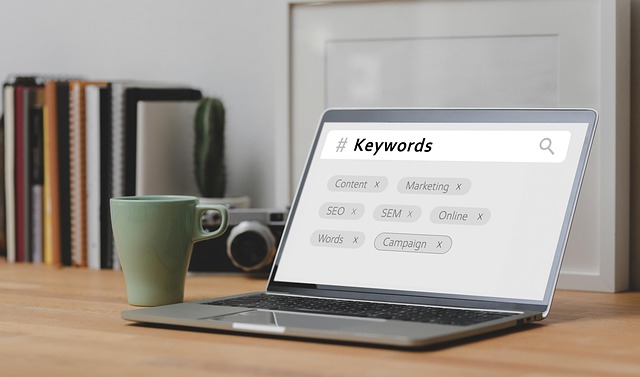 Les avantages de la recherche par images pour le SEO