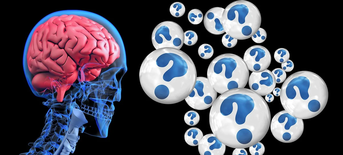 Atrophie hippocampique et maladie d’Alzheimer