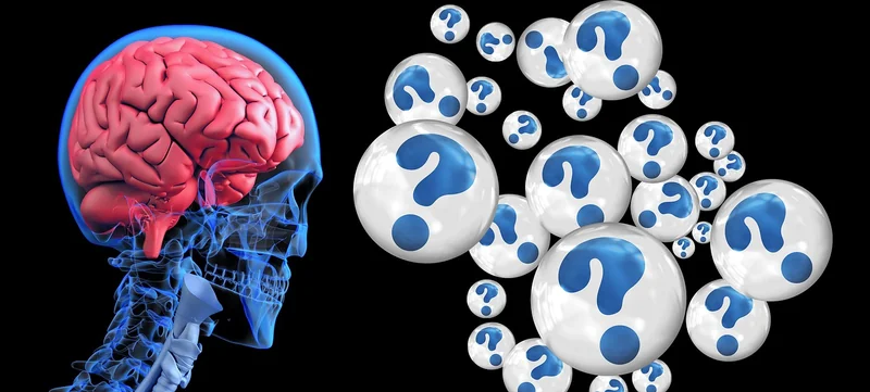Atrophie hippocampique et maladie d’Alzheimer