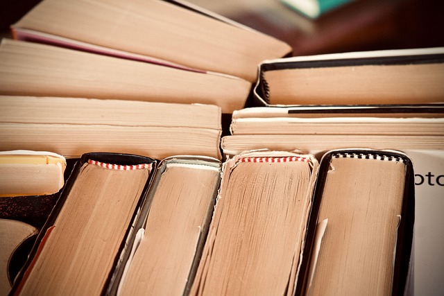 Études de cas SEO : ce que vous devez savoir