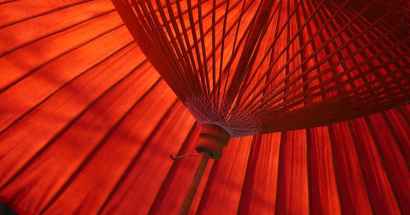 Parasol professionnel résistant au vent : le guide pour choisir le meilleur modèle